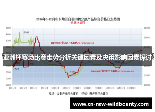亚洲杯赛场比赛走势分析关键因素及决策影响因素探讨