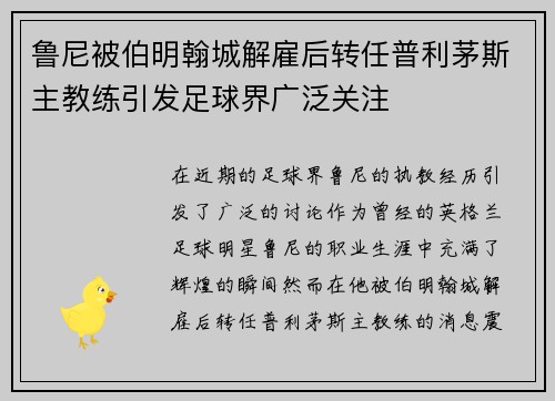 鲁尼被伯明翰城解雇后转任普利茅斯主教练引发足球界广泛关注